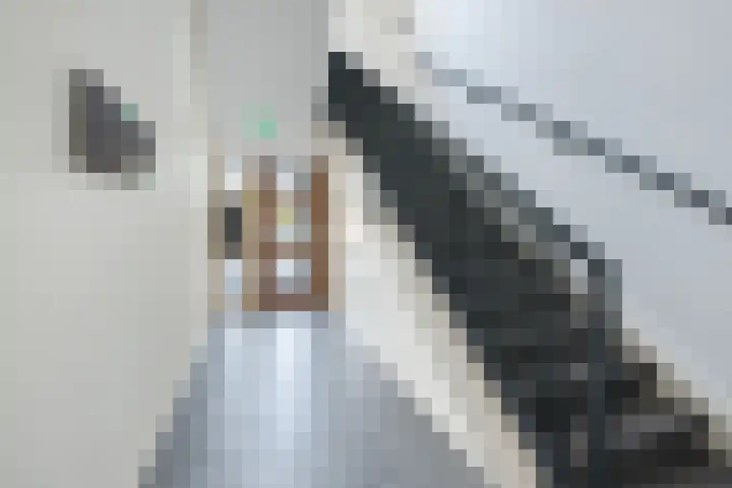 Hammerstraat 93 Vroomshoop thumbnail 11