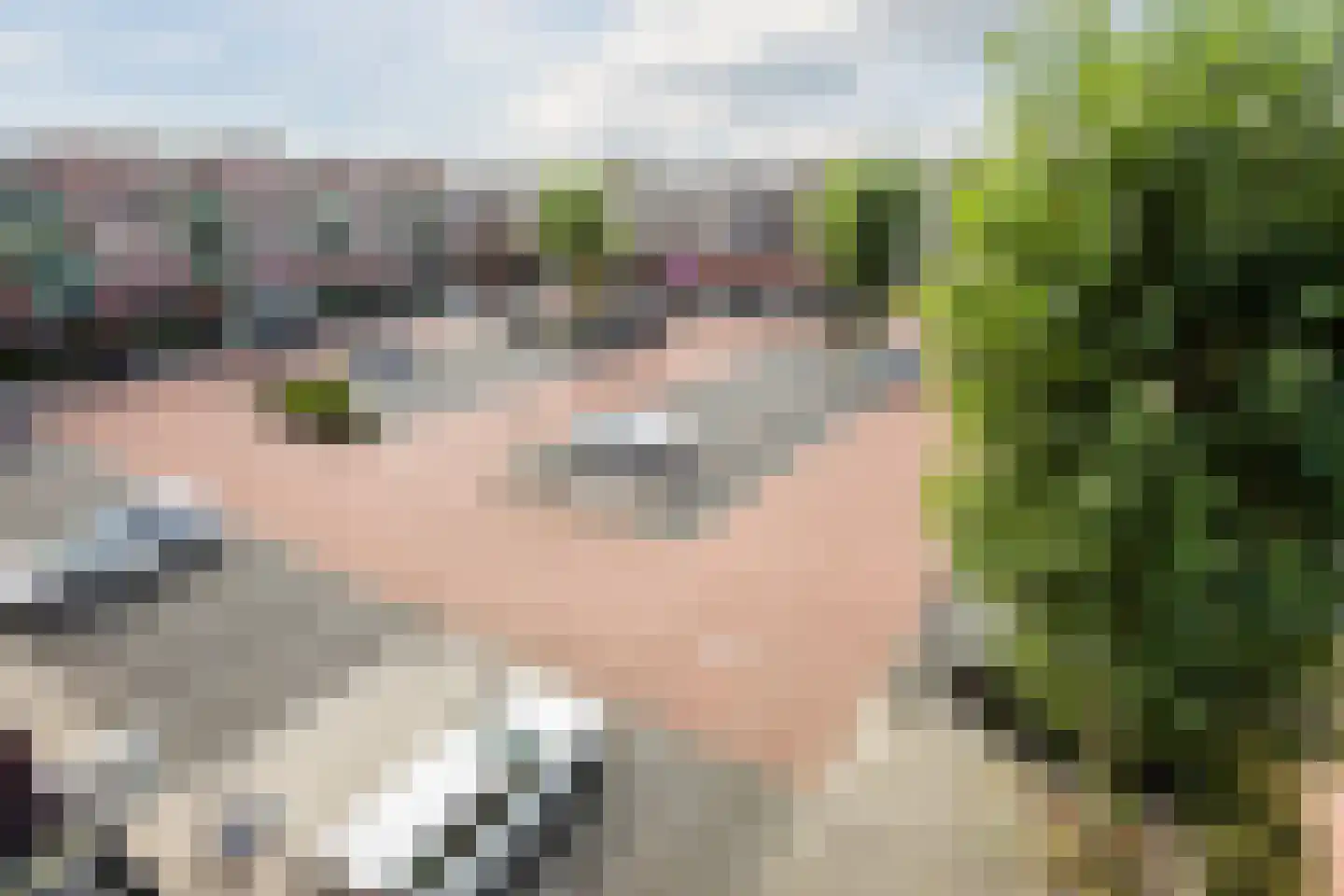 Hammerstraat 93 Vroomshoop thumbnail 17