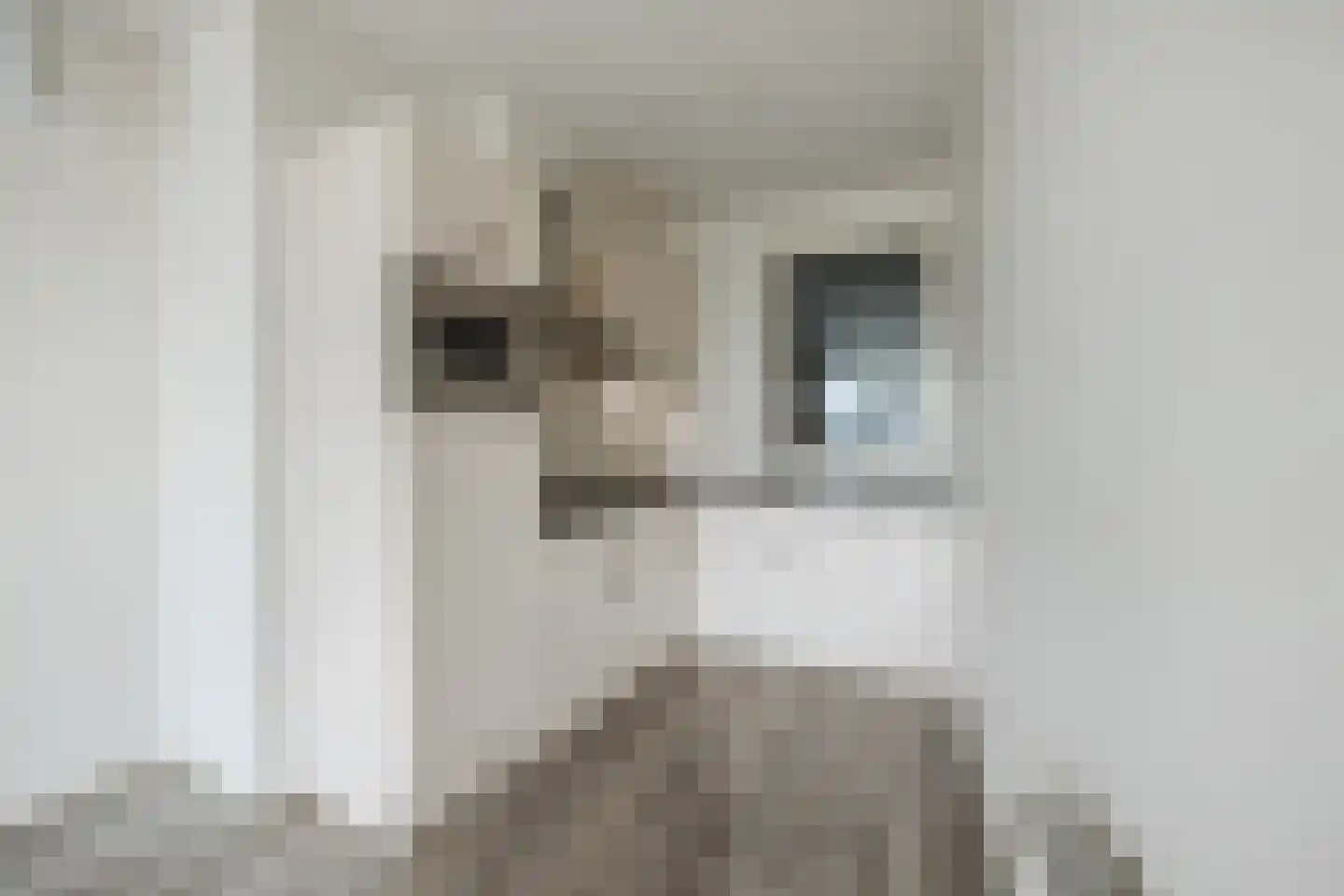 Hammerstraat 93 Vroomshoop thumbnail 23