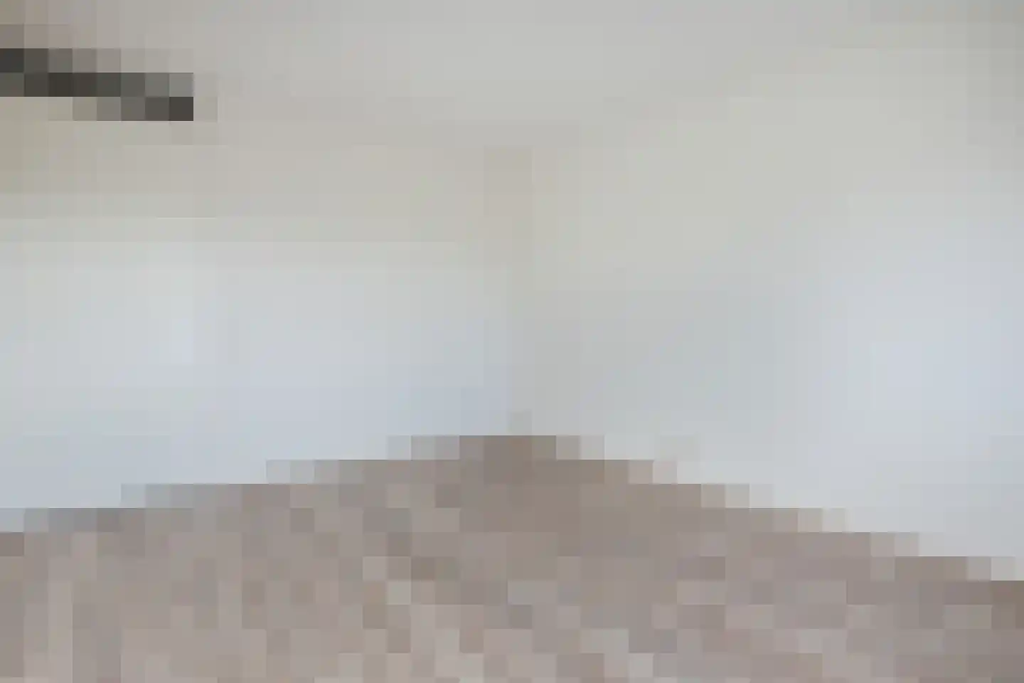Hammerstraat 93 Vroomshoop thumbnail 30