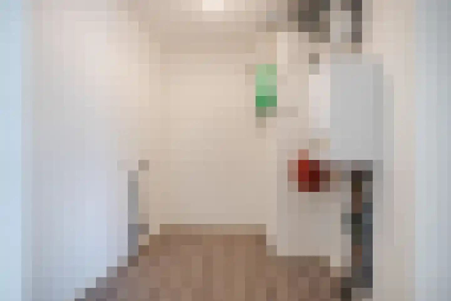 Hammerstraat 93 Vroomshoop thumbnail 36