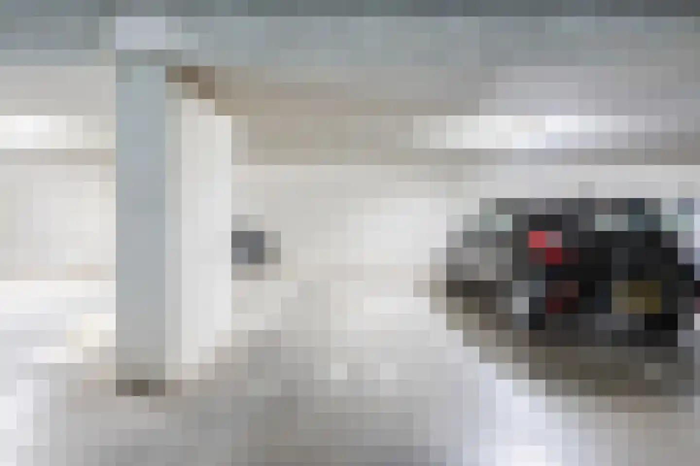 Hammerstraat 93 Vroomshoop thumbnail 39