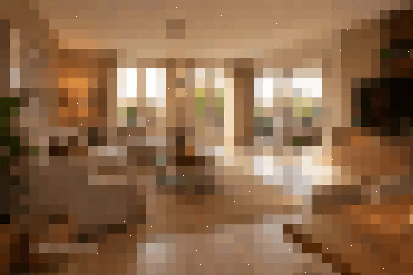 Hammerstraat 93 Vroomshoop thumbnail 7