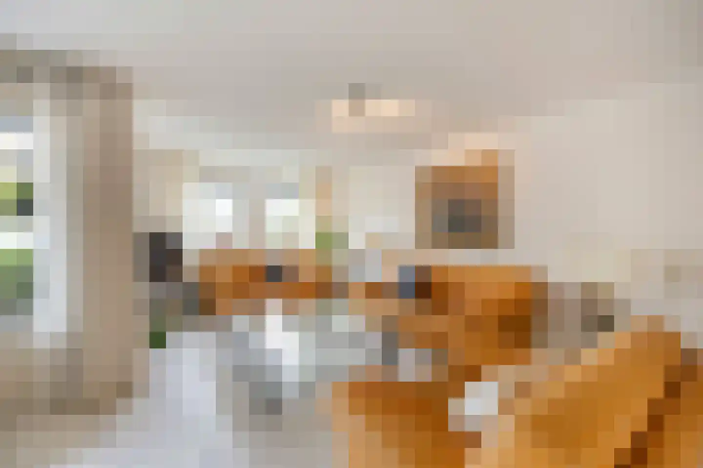 Hammerveldlaan 21 Roermond thumbnail 18
