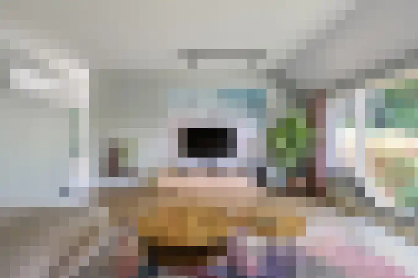 Hammerweg 123 Vriezenveen thumbnail 12