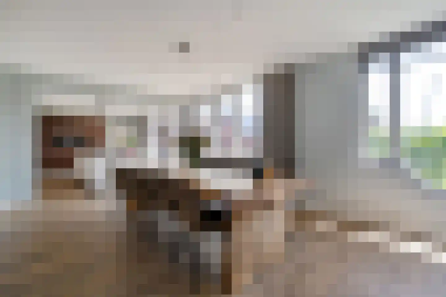 Hammerweg 123 Vriezenveen thumbnail 16