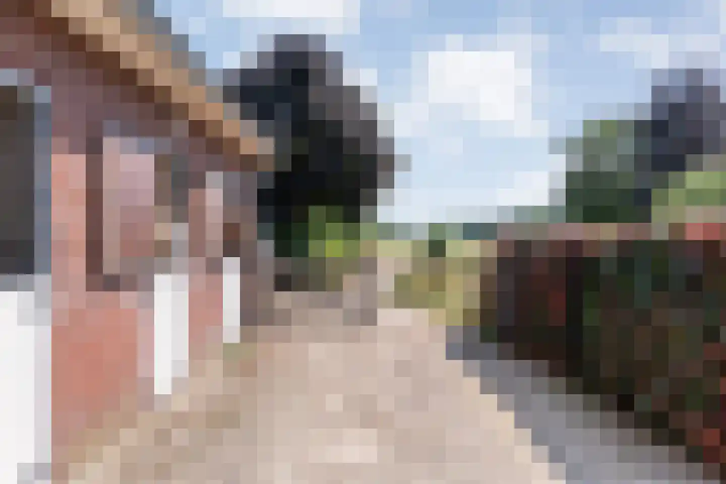 Hammerweg 123 Vriezenveen thumbnail 46