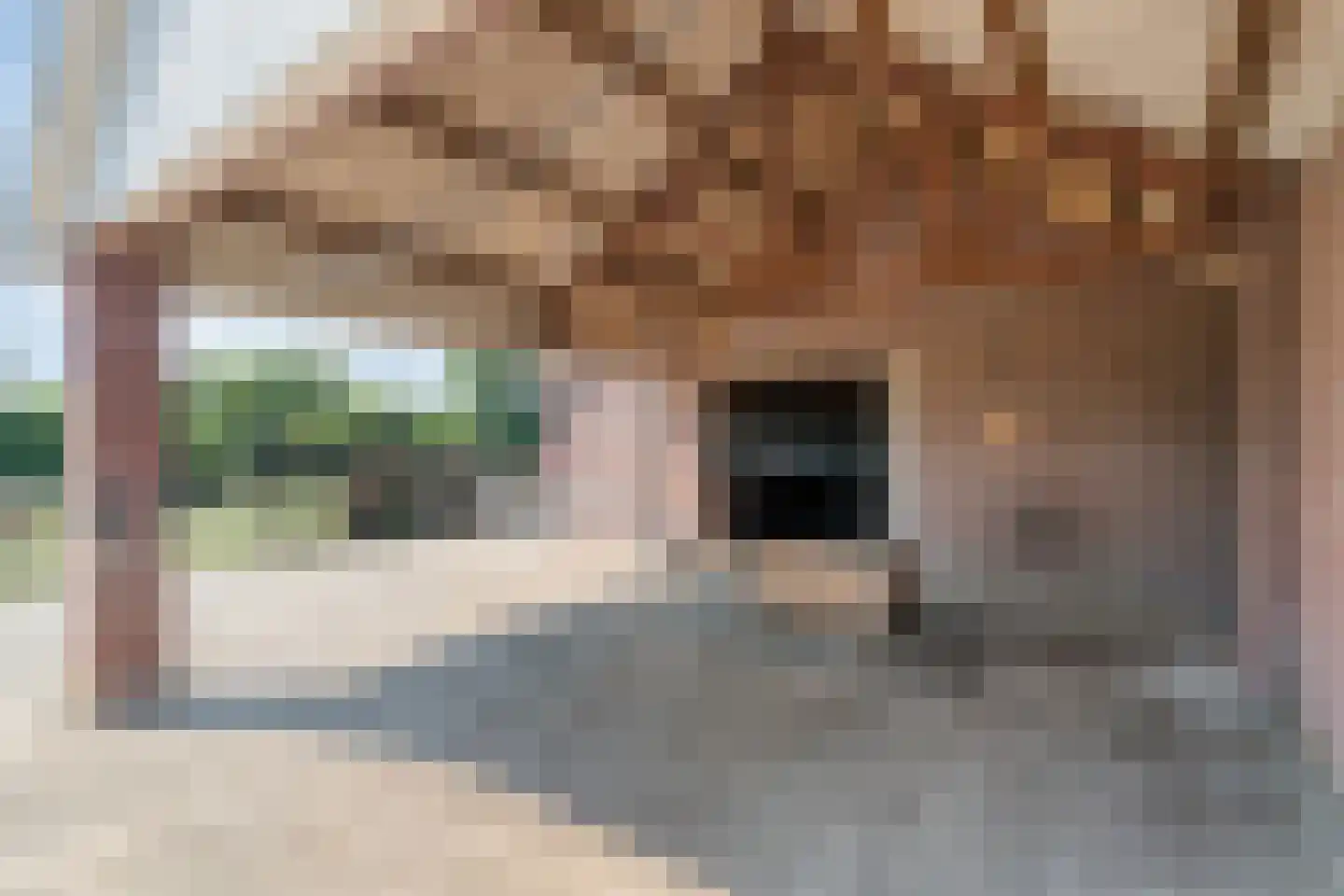 Hammerweg 123 Vriezenveen thumbnail 49