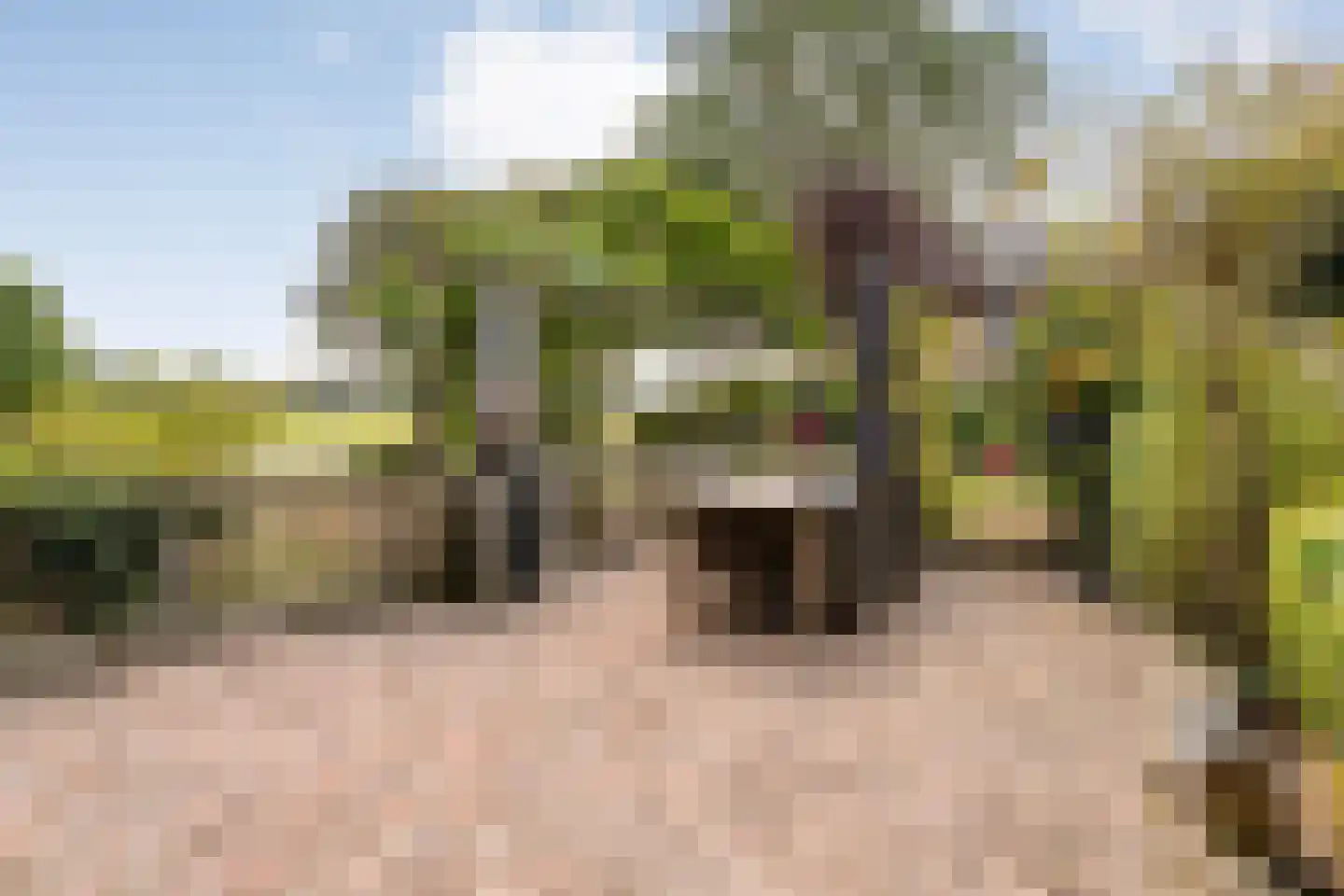 Hammerweg 19 Hellendoorn thumbnail 14