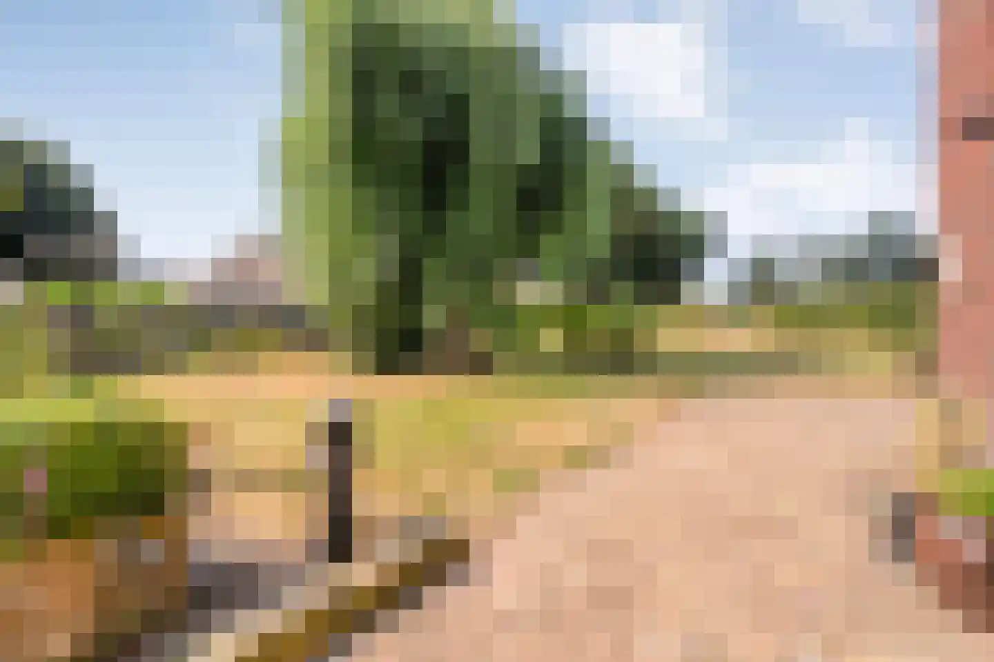 Hammerweg 19 Hellendoorn thumbnail 32