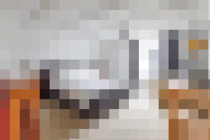 Hammerweg 24 Vriezenveen thumbnail 20