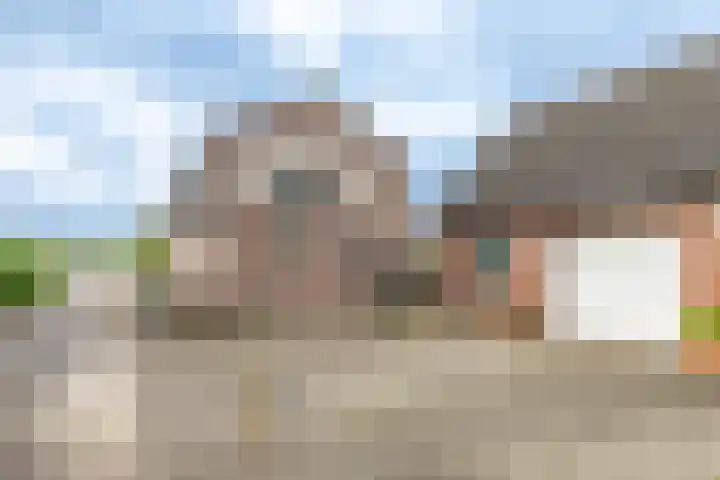 Hammerweg 24 Vriezenveen thumbnail 29