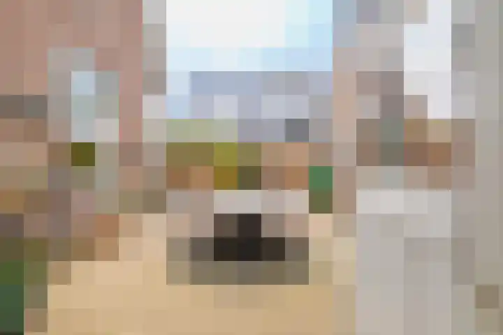 Hammerweg 24 Vriezenveen thumbnail 30