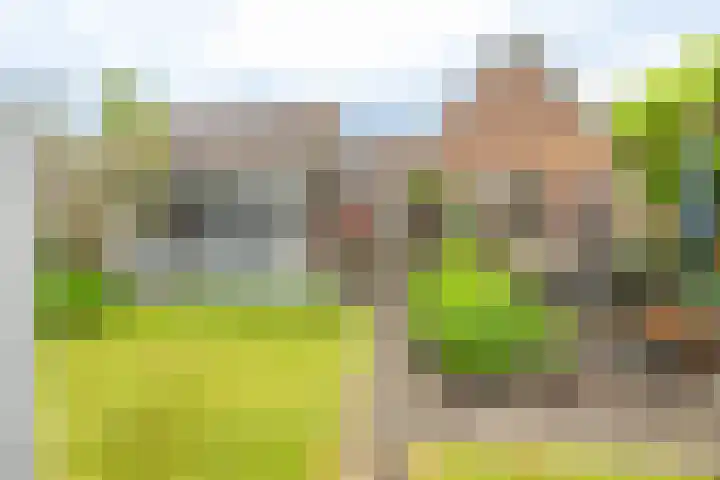 Hammerweg 24 Vriezenveen thumbnail 33