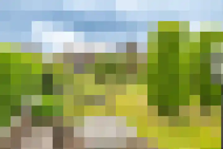 Hammerweg 24 Vriezenveen thumbnail 36