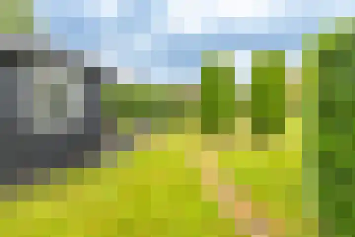 Hammerweg 24 Vriezenveen thumbnail 37