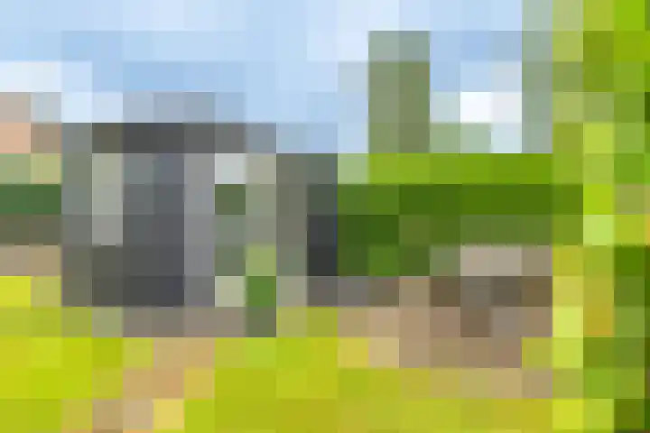 Hammerweg 24 Vriezenveen thumbnail 38