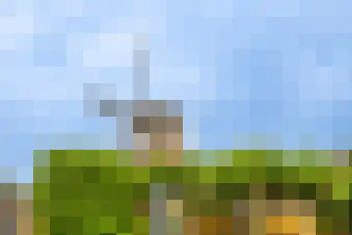 Hammerweg 24 Vriezenveen thumbnail 39