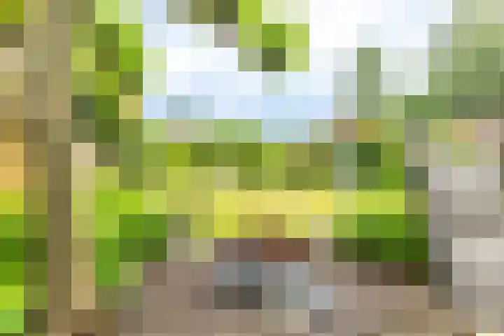 Hammerweg 24 Vriezenveen thumbnail 4