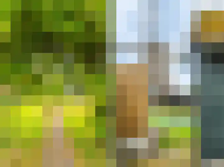 Hammerweg 24 Vriezenveen thumbnail 40