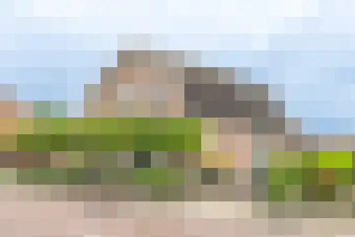 Hammerweg 24 Vriezenveen thumbnail 5