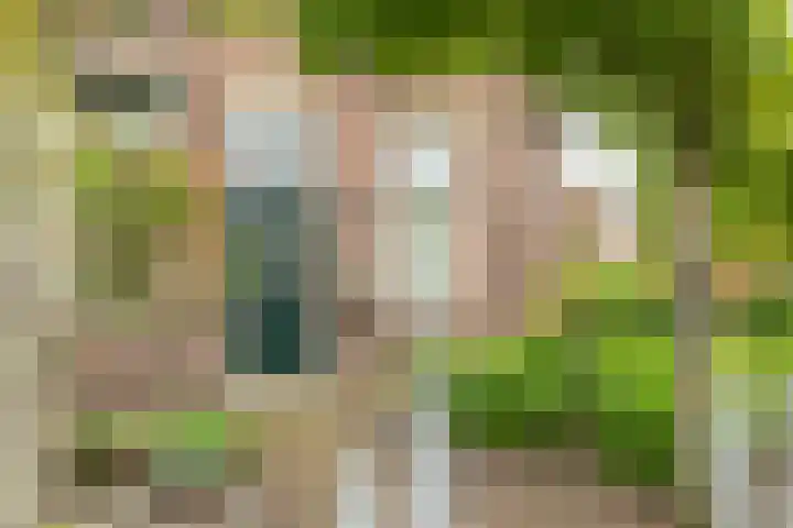 Hammerweg 24 Vriezenveen thumbnail 6