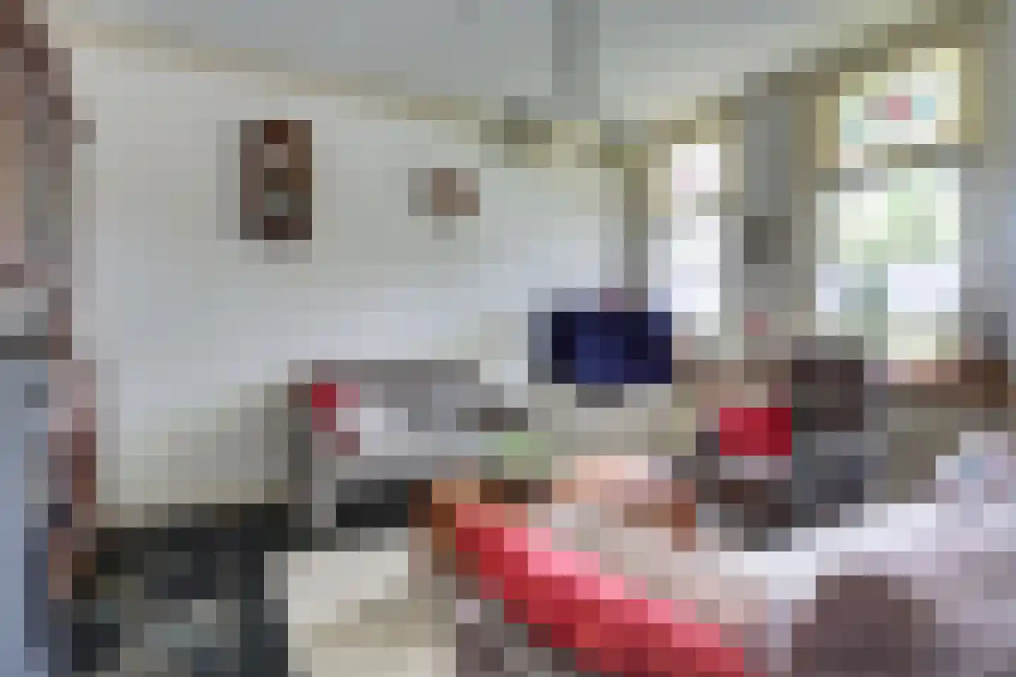 Hammerweg 31 Vriezenveen thumbnail 11