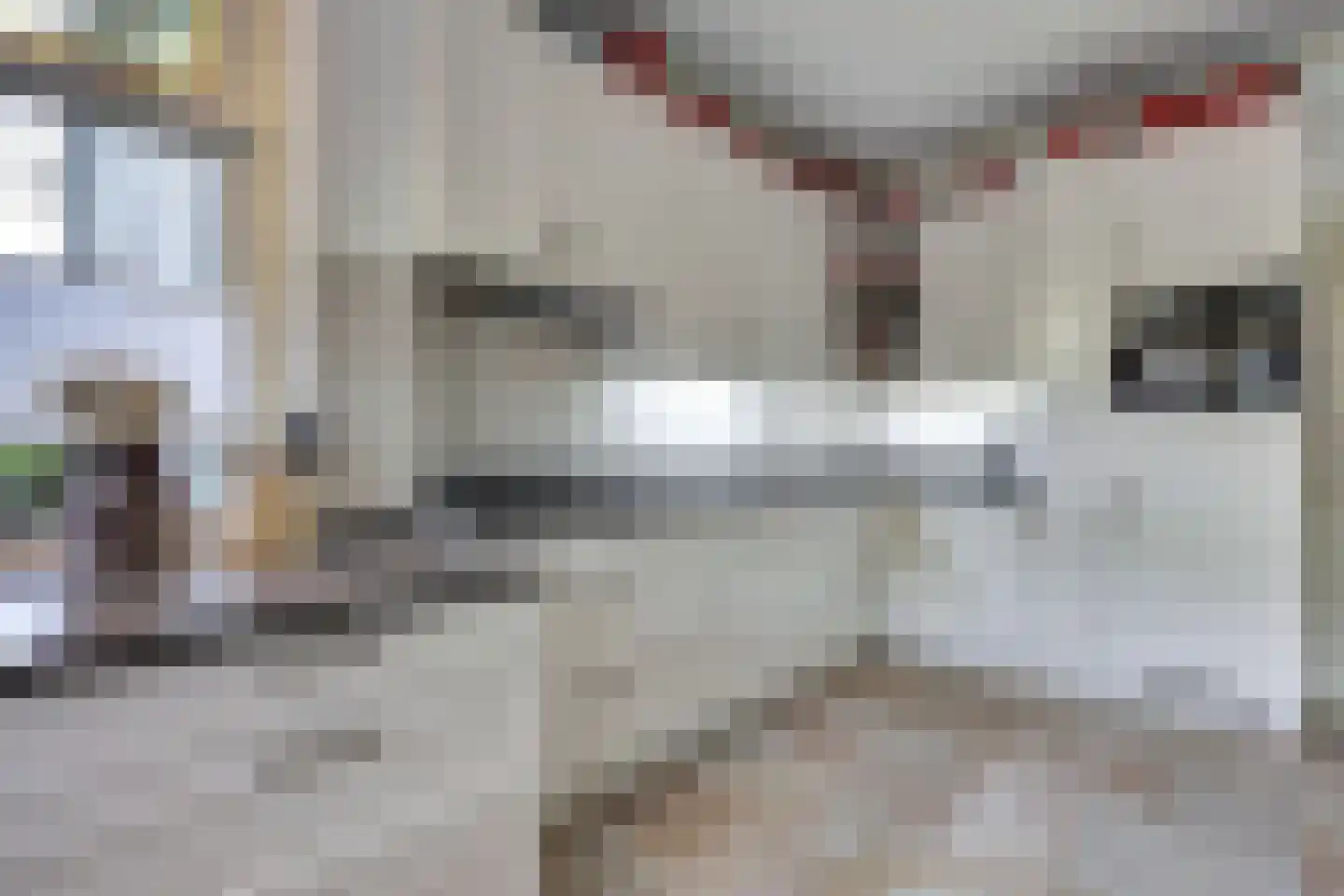 Hammerweg 31 Vriezenveen thumbnail 16