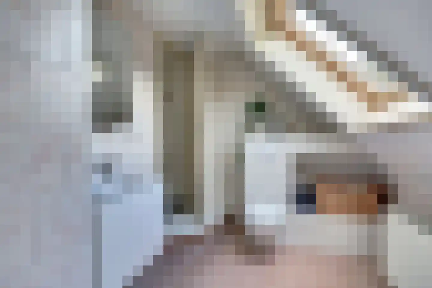 Hammerweg 31 Vriezenveen thumbnail 34