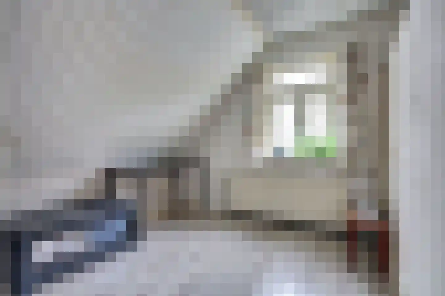 Hammerweg 31 Vriezenveen thumbnail 38