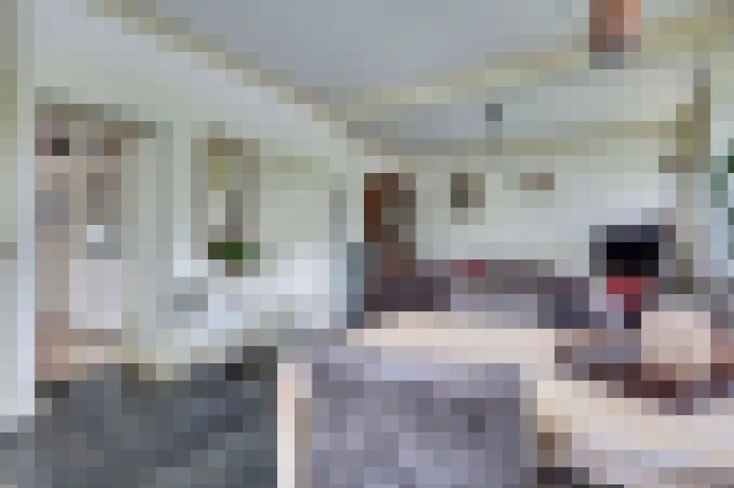Hammerweg 31 Vriezenveen thumbnail 9