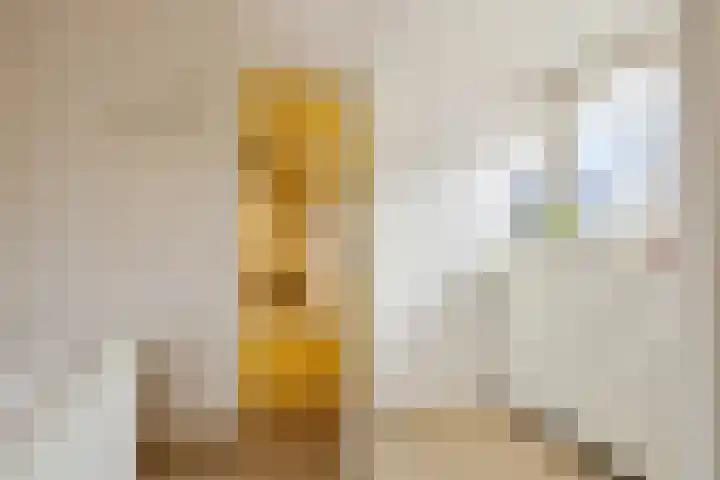 Hammerweg 58 Vriezenveen thumbnail 24
