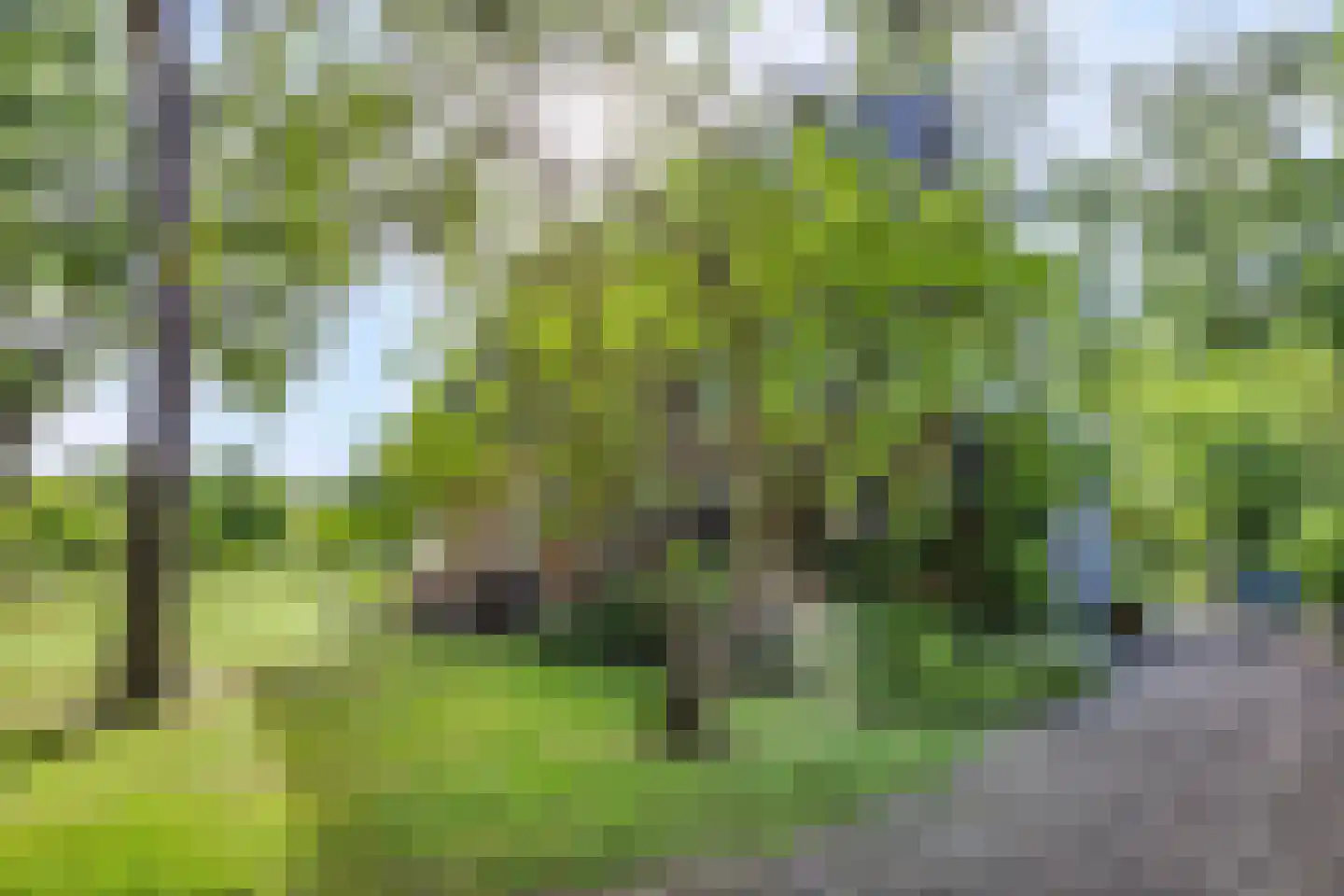 Hammerweg 64 Ommen thumbnail 10