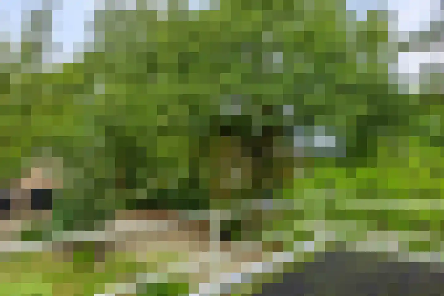 Hammerweg 64 Ommen thumbnail 38