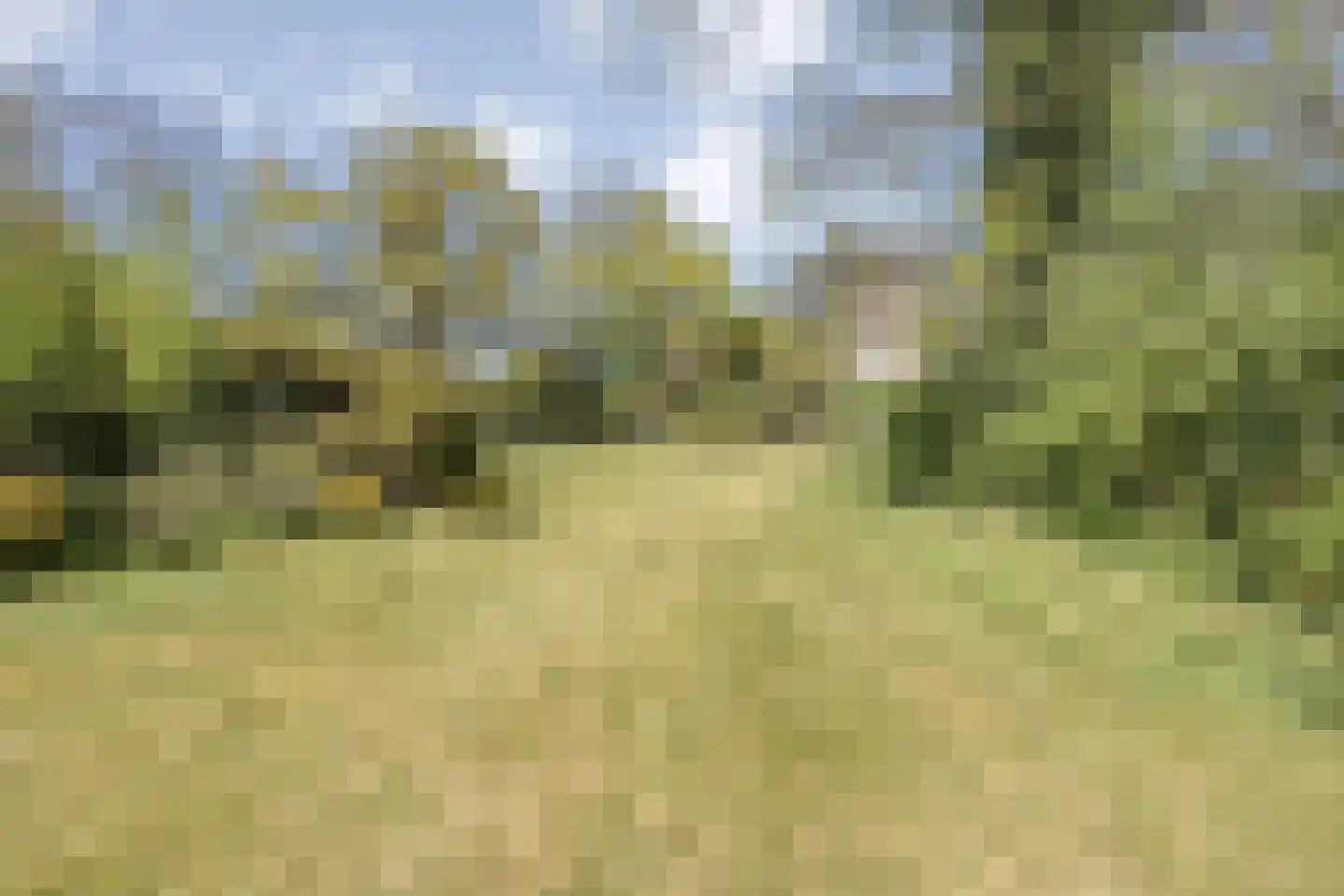 Hammerweg 64 Ommen thumbnail 4