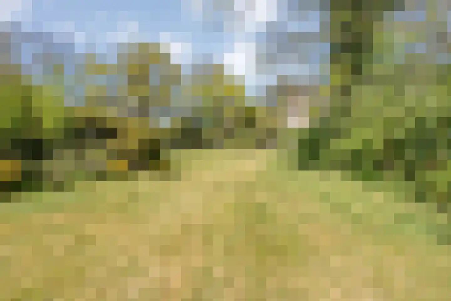 Hammerweg 64 Ommen thumbnail 4