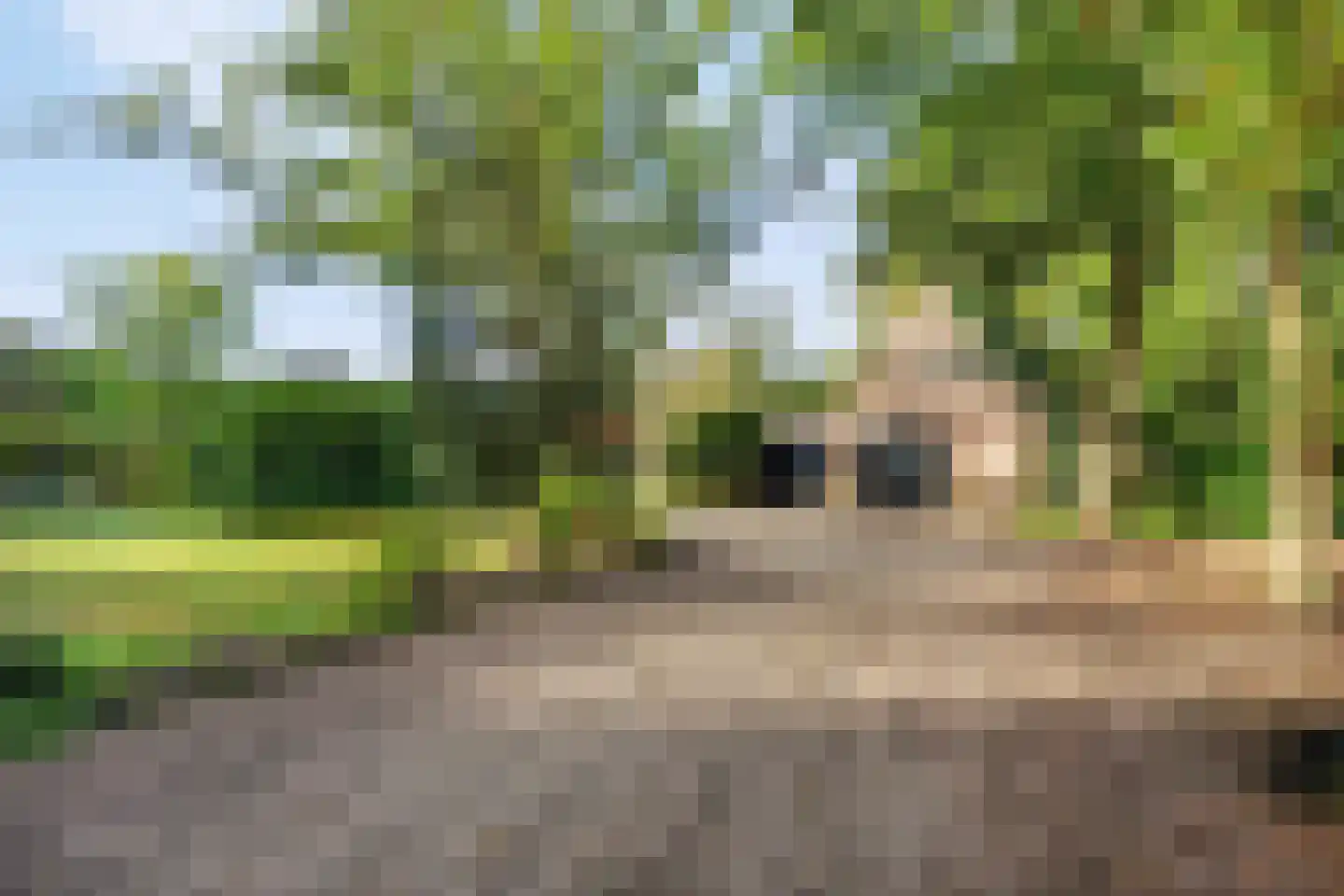 Hammerweg 64 Ommen thumbnail 4