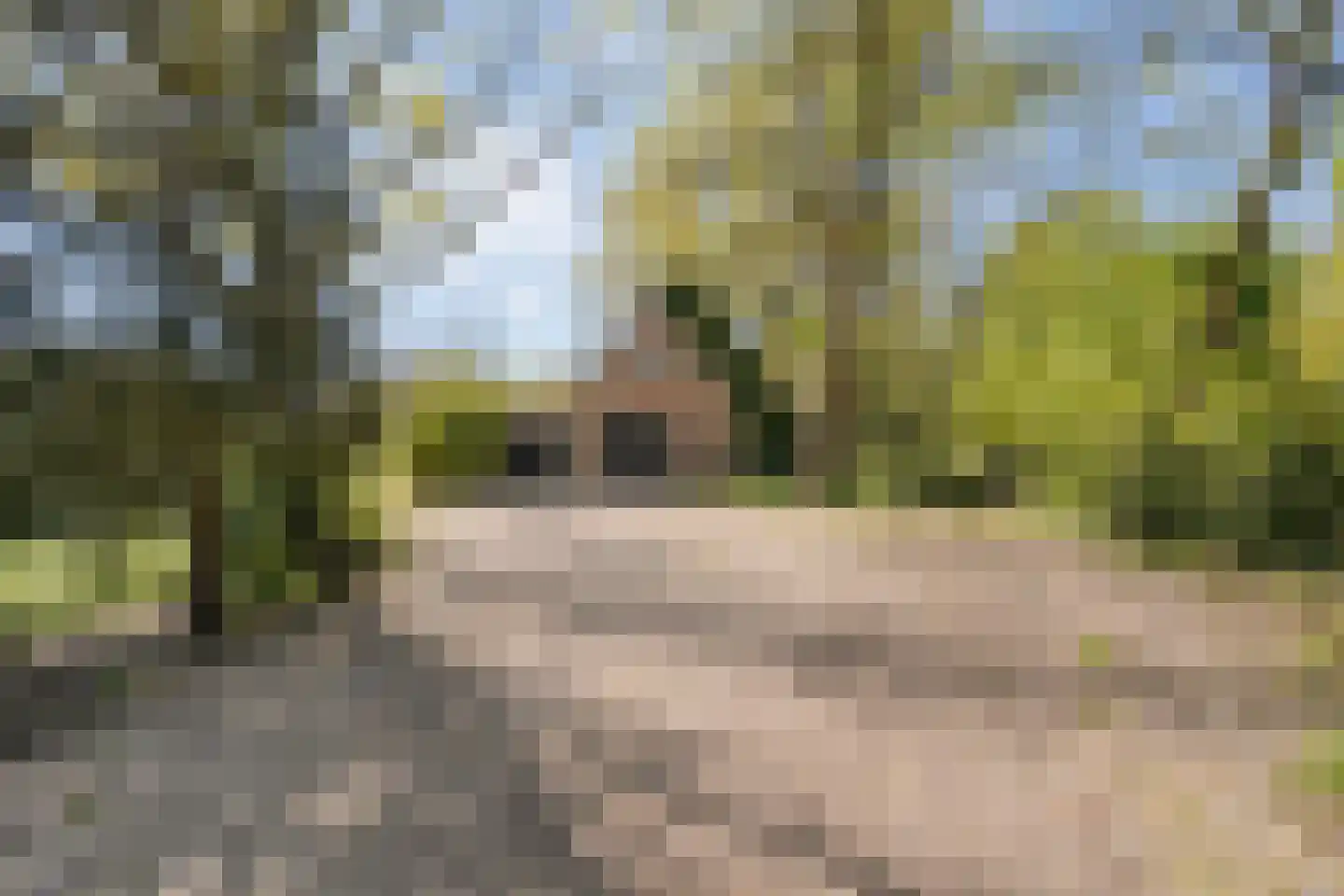 Hammerweg 64 Ommen thumbnail 43