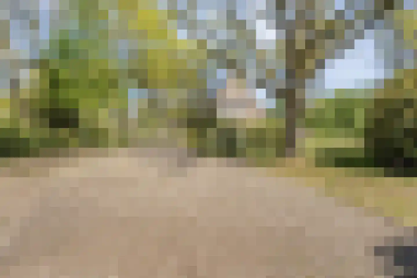 Hammerweg 64 Ommen thumbnail 47