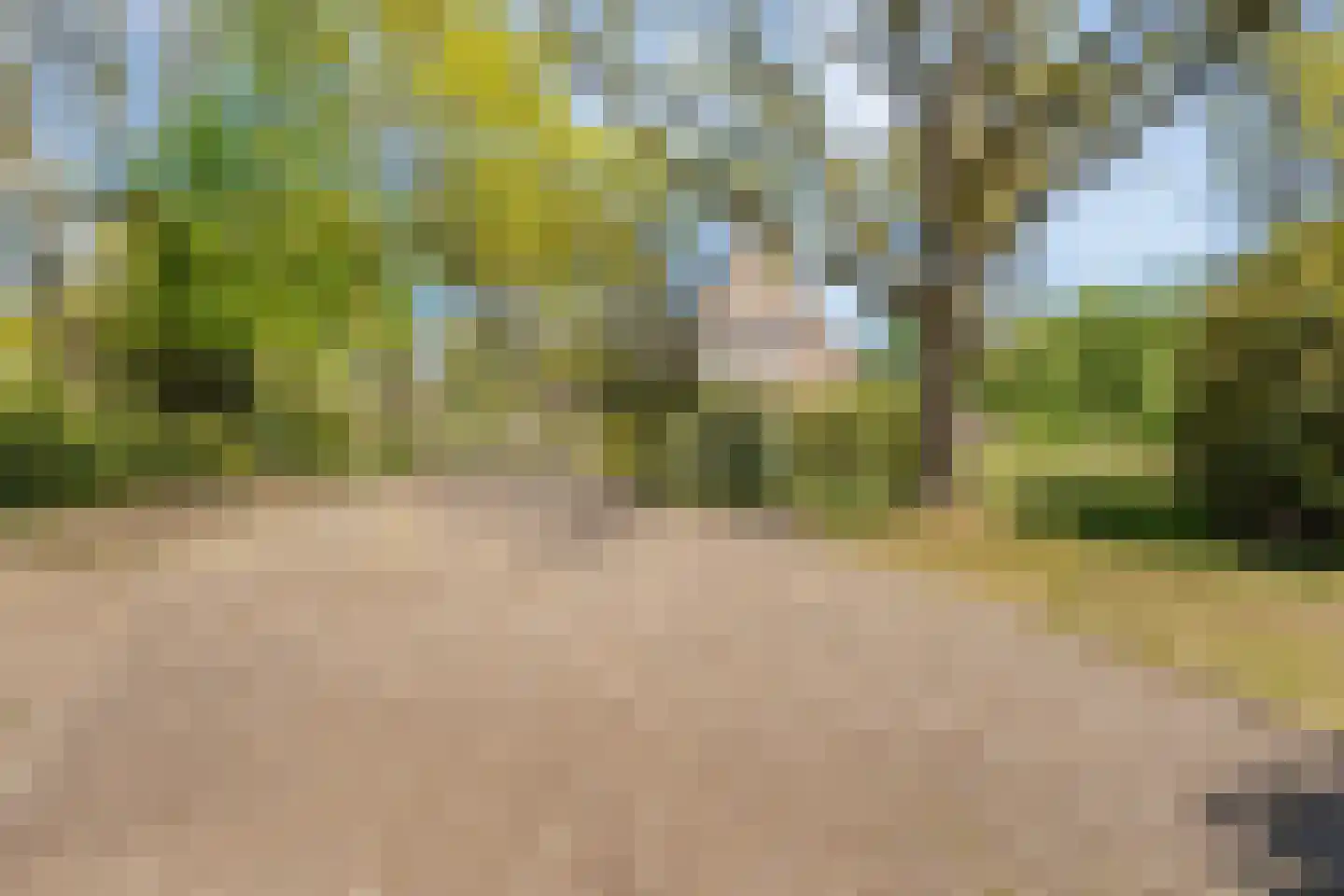 Hammerweg 64 Ommen thumbnail 47