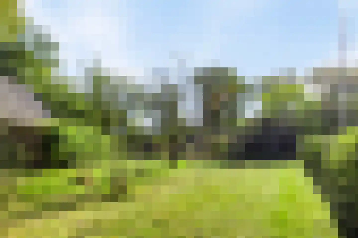 Hammerweg 64 Ommen thumbnail 5