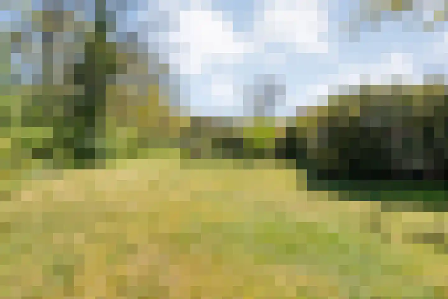 Hammerweg 64 Ommen thumbnail 5