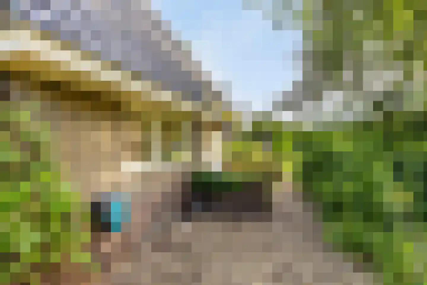 Hammerweg 64 Ommen thumbnail 51