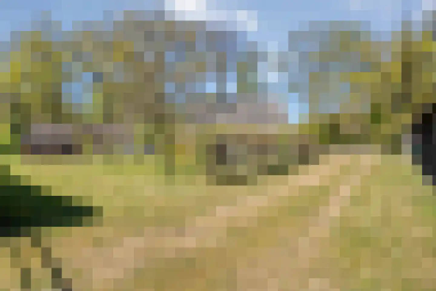 Hammerweg 64 Ommen thumbnail 51