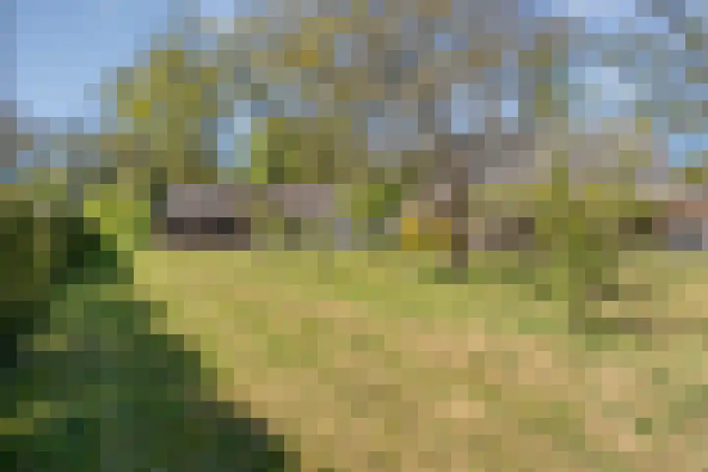 Hammerweg 64 Ommen thumbnail 52