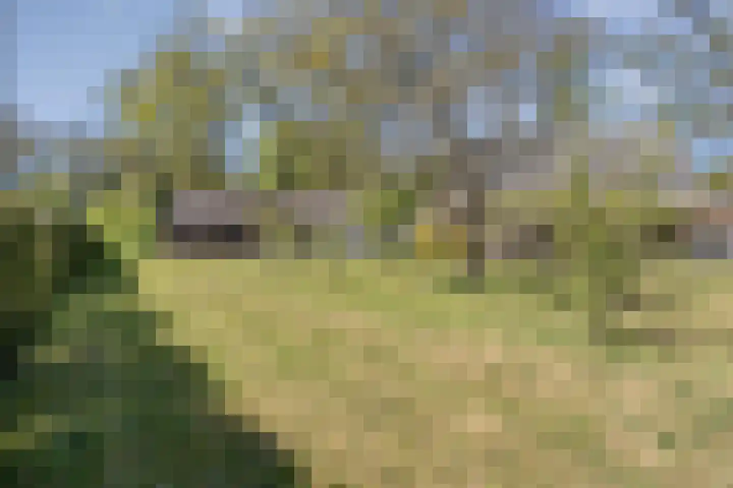 Hammerweg 64 Ommen thumbnail 52