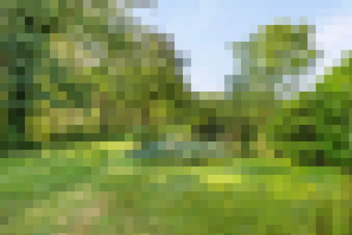 Hammerweg 64 Ommen thumbnail 52