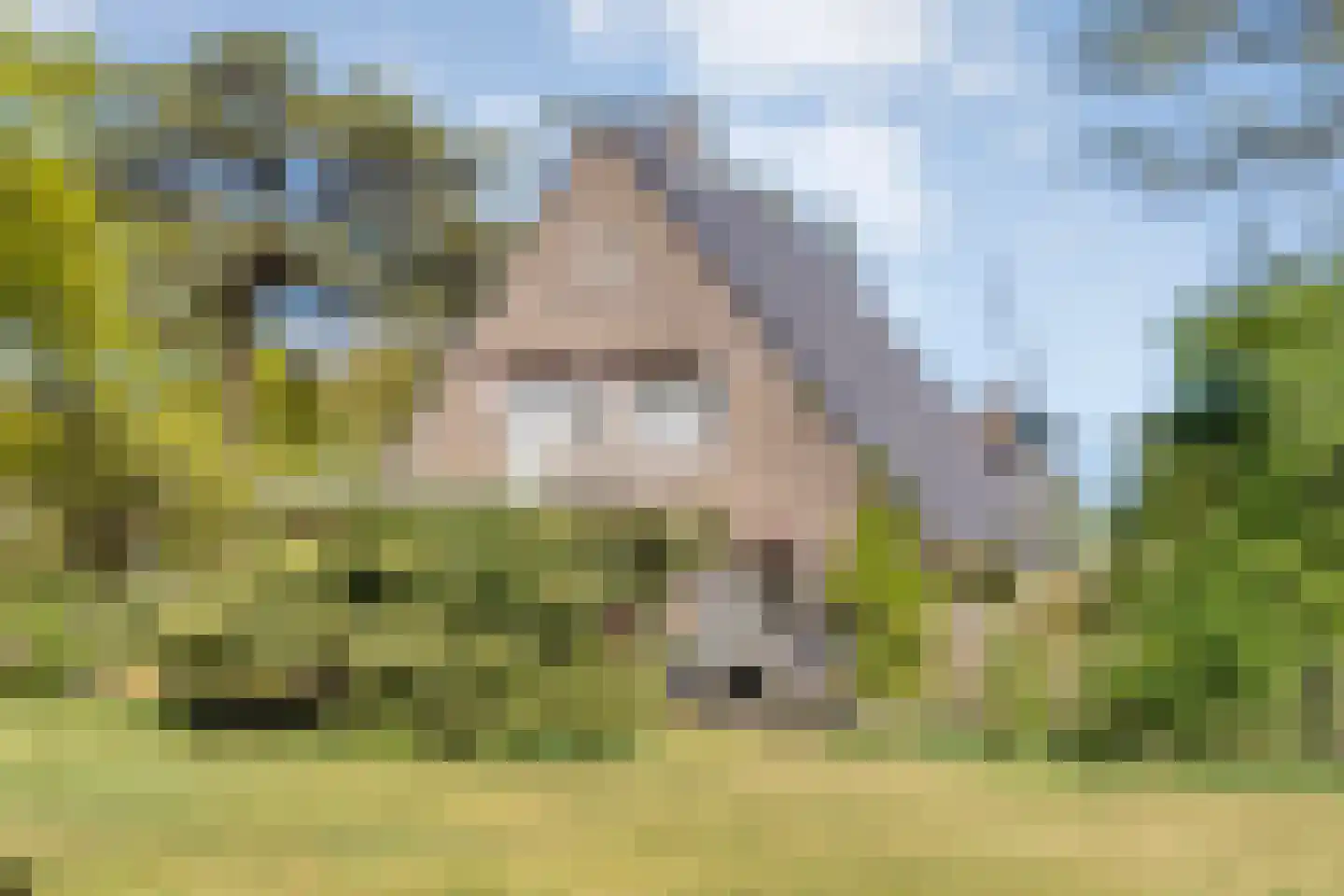 Hammerweg 64 Ommen thumbnail 55