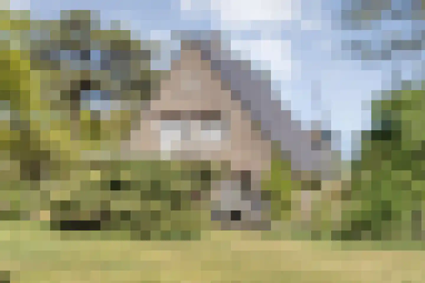 Hammerweg 64 Ommen thumbnail 55