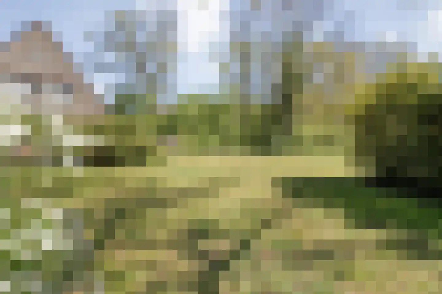 Hammerweg 64 Ommen thumbnail 56